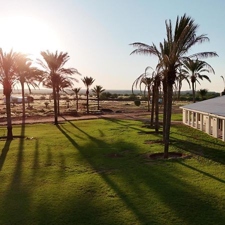 Flying Ostrich Guesthouse & Self-Catering Accommodation マリエンタール エクステリア 写真