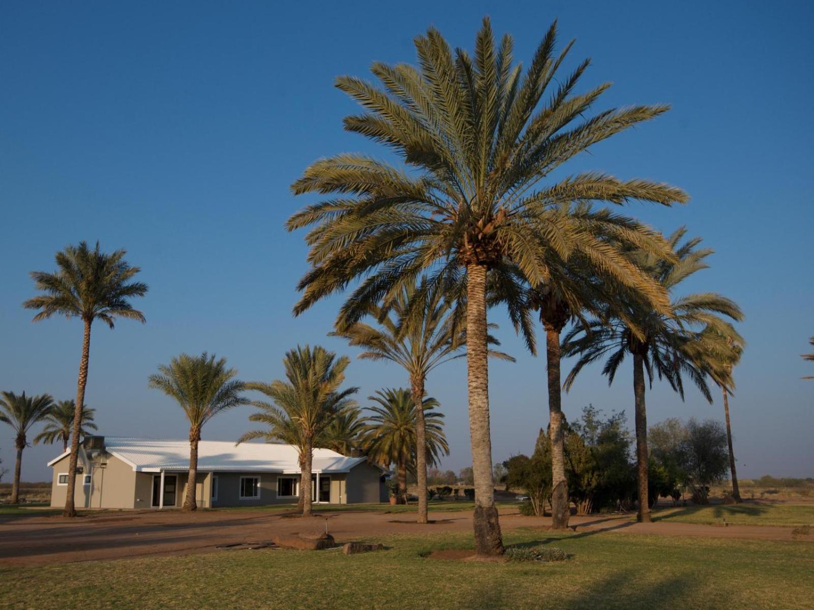Flying Ostrich Guesthouse & Self-Catering Accommodation マリエンタール エクステリア 写真