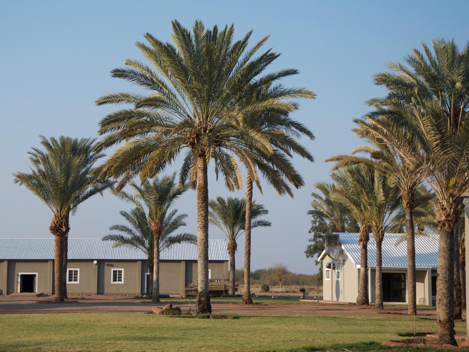 Flying Ostrich Guesthouse & Self-Catering Accommodation マリエンタール エクステリア 写真